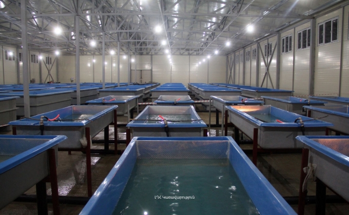 Mataghis’ Fish Breeding Enterprise Expected to Begin Exports within 3 Years