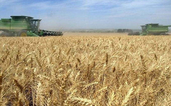 Crop yield’s rates are very high in Artsakh