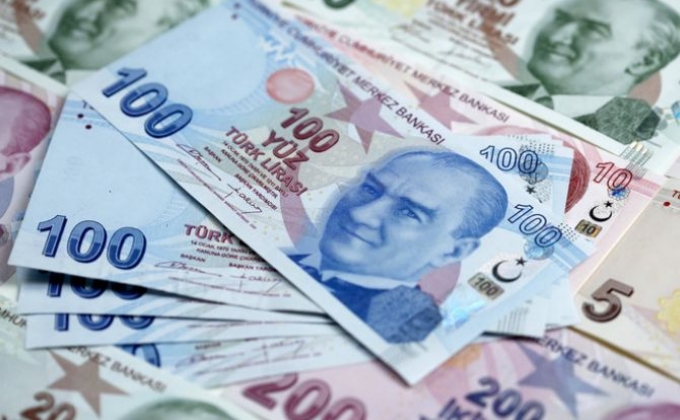Турецкая лира зарегистрировала исторический минимум по отношению к евро