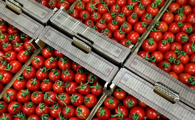 Iraq stops importing tomato from Turkey