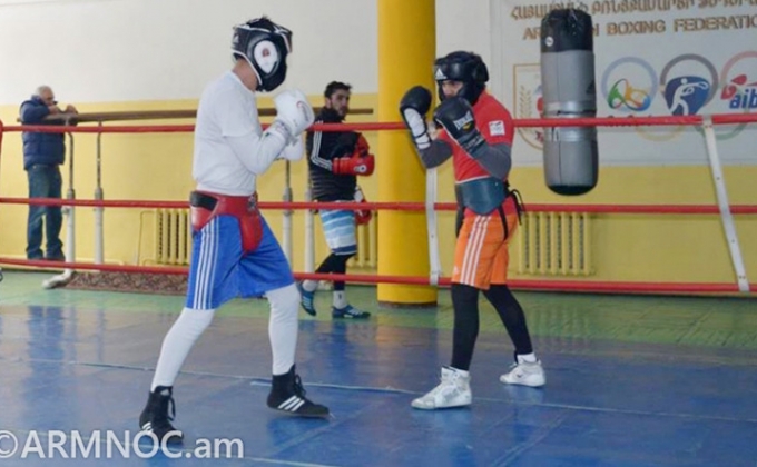 Армянские боксеры стартовали на чемпионате Европы с победы
