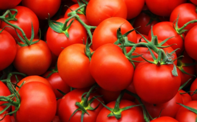 Russia has no plans to resume import of Turkish tomatoes