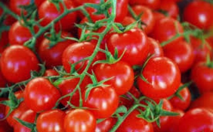 Аналитик рассказал об убытках Турции после запрета на поставки томатов в РФ