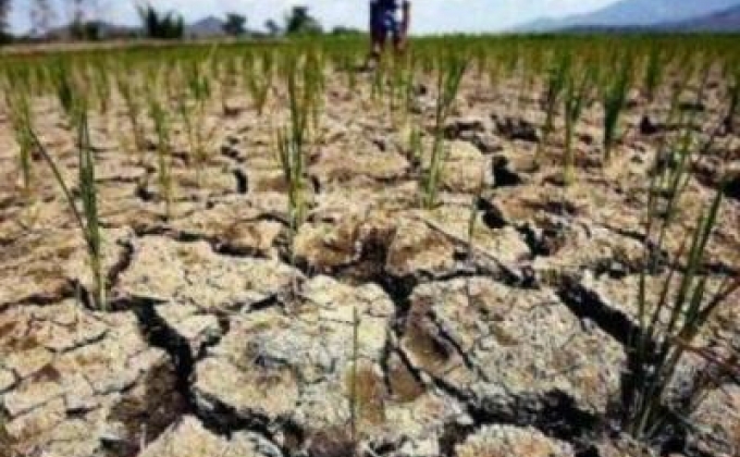 UN to allocate $ 5.9 million to drought-affected people in North Korea