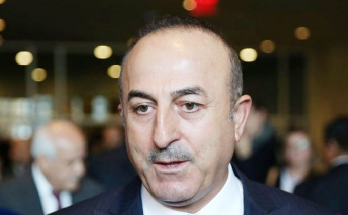 Cavusoglu again uses “leave it to historians” tormented proposal on Armenian Genocide
