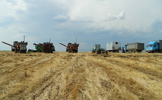 Валовая продукция сельского хозяйства в Арцахе выросла на 7.8%