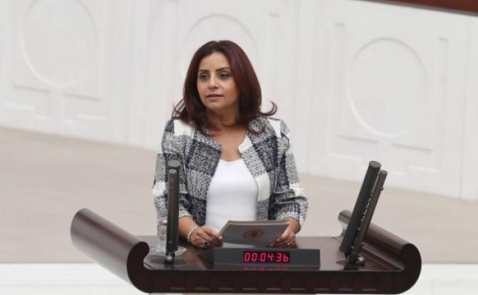 Ethnic Armenian incumbent MP Selina Dogan not running for parliament in upcoming Turkey election