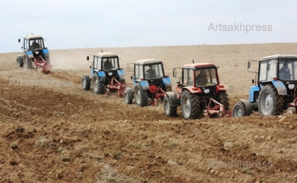 Осенний сев зерновых культур в Кашатагском районе произведен на 13 685 га