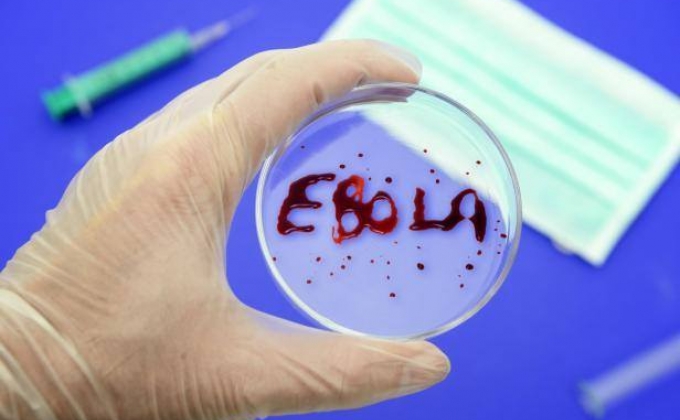План восстановления стран после лихорадки «Эбола» будет представлен в феврале