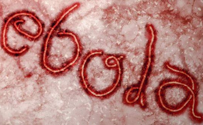 Эпидемия лихорадки Эбола близка к завершению. Данные ВОЗ