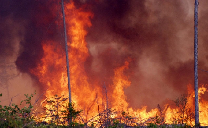 Los Angeles Times․ ԱՄՆ-ի ավելի քան 2 հազար բնակիչ տարհանվել է ուժեղ անտառային հրդեհի պատճառով