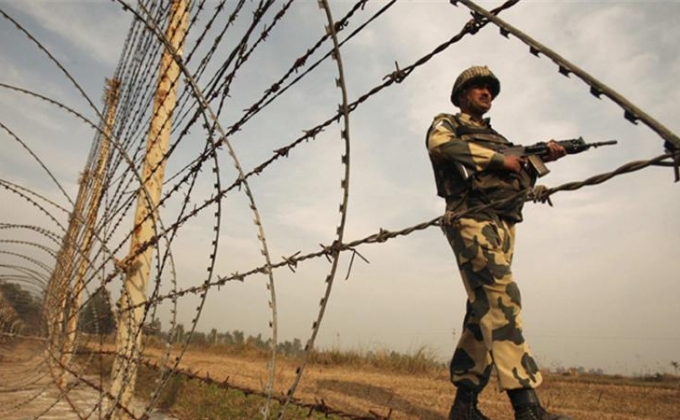 Индийские пограничники задержали голубя из Пакистана