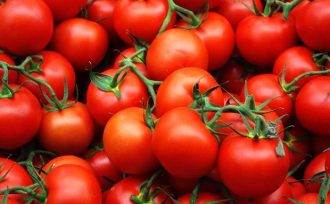 Армения на втором месте по объему экспорта помидоров в страны ЕАЭС