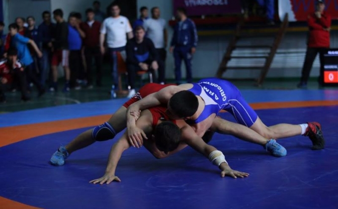 Армянские борцы вольного стиля завоевали золотые, серебряные и бронзовые медали на международном турнире