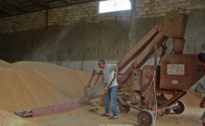 “Фонд содействия селу и сельскому хозяйству” Арцаха установил цены на пшеницу и ячмень