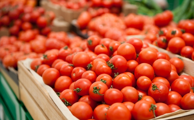 Армения готова потеснить других поставщиков томатов для РФ