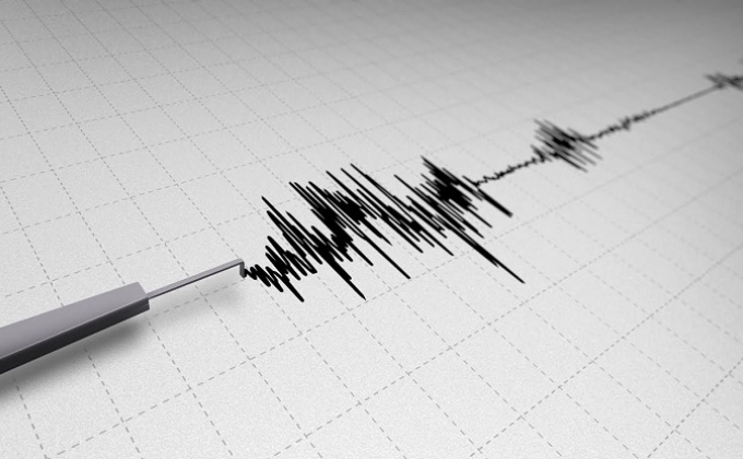 Magnitude 4.9 quake strikes Iran