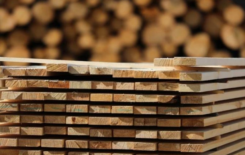 Russia renews timber, unprocessed wood land export permit to Armenia