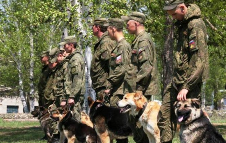 Հայաստանի ռուսական ռազմակայանի կինոլոգները եւ ծառայական շները վարժանքներ կանցնեն լեռներում