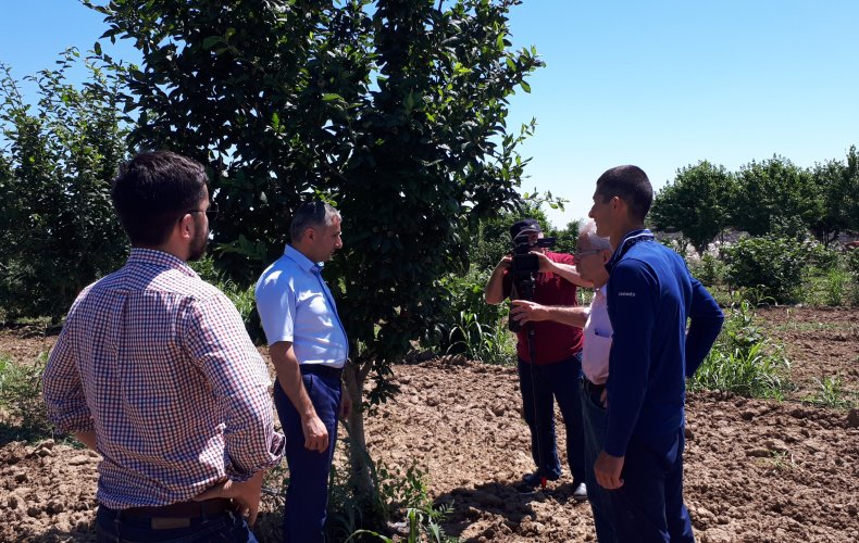 Australian based agronomist conducts researches in Artsakh