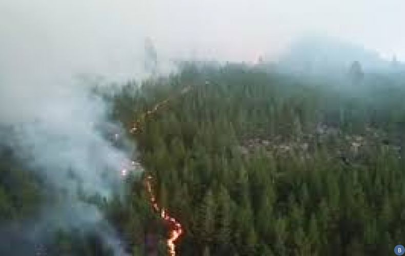 Лесные пожары как источник парниковых газов
