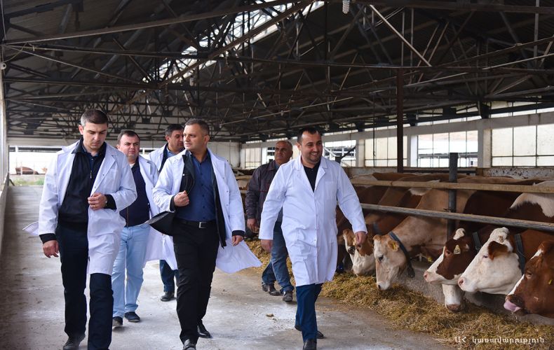 Artsakh State Minister Grigory Martirosyan visited a number of state and private households