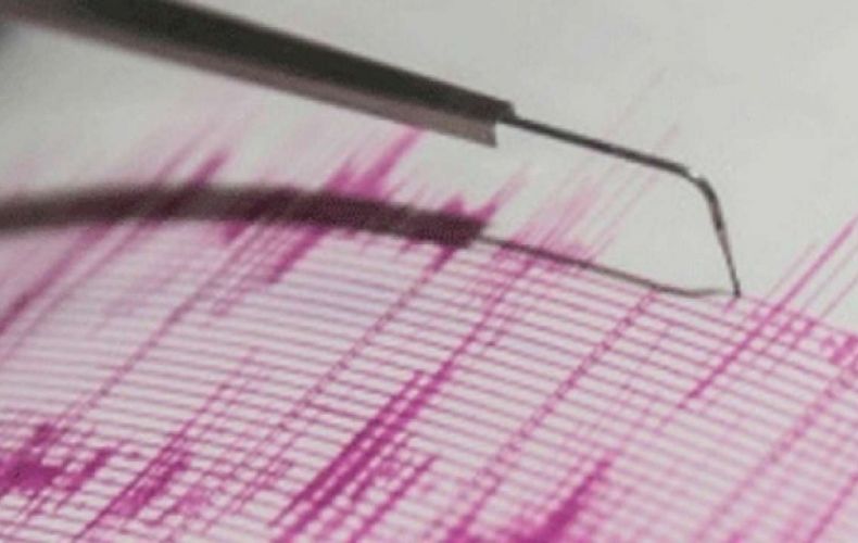Magnitude 4.6 quake shakes Tokyo, eastern Japan