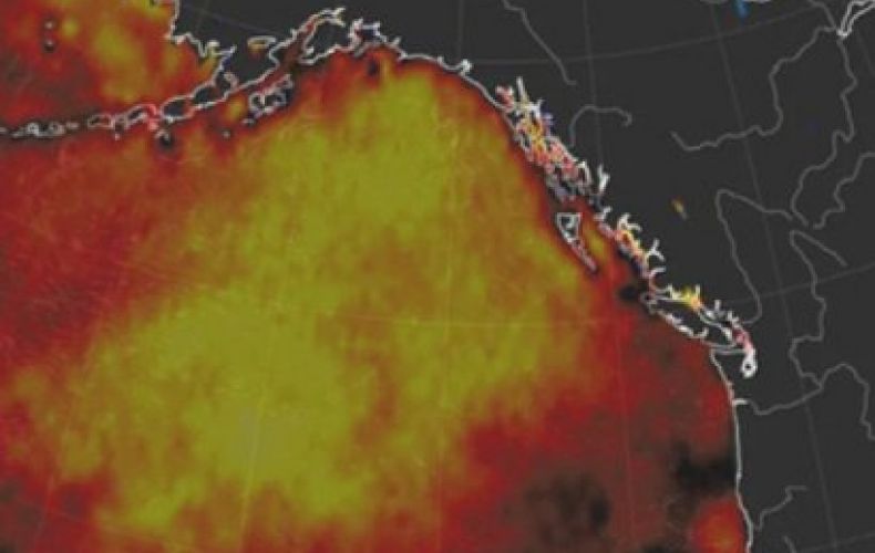 Ալյասկայում կլիմայական աղետի հետեւանքներ են հայտնաբերվել
