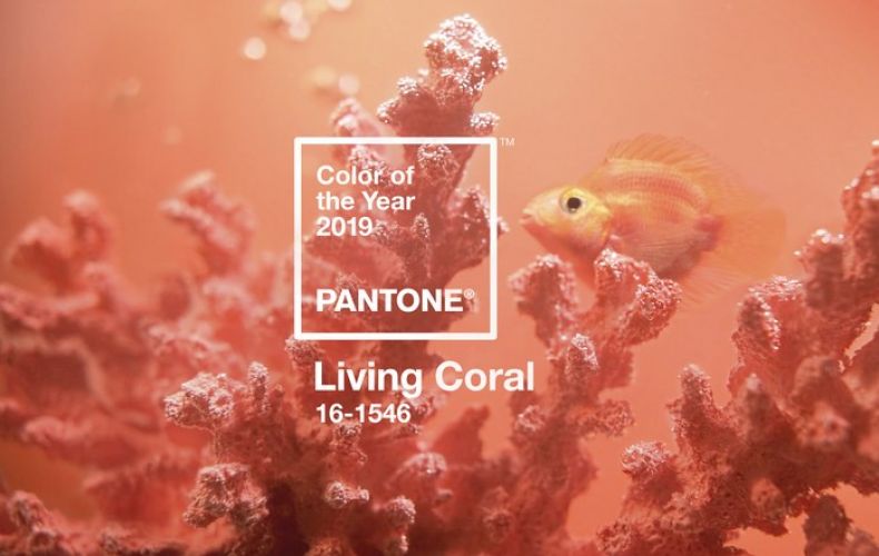 Pantone ինստիտուտը անվանել է 2019-ի գլխավոր գույնը
