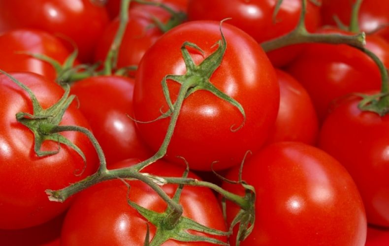 В Россию не пустили более 36 тонн помидоров из Азербайджана