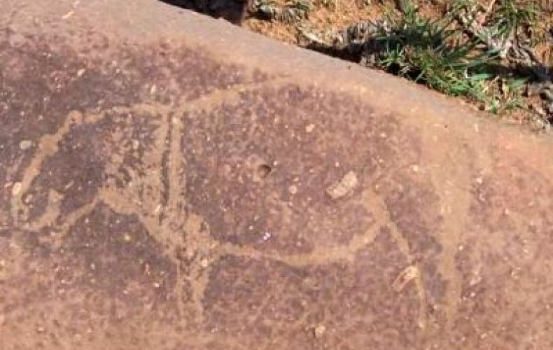 
В ЮАР нашли наскальные рисунки возрастом 8000 лет