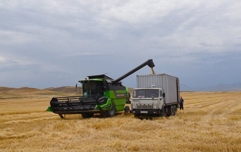 The harvest of grain crops in Artsakh is underway