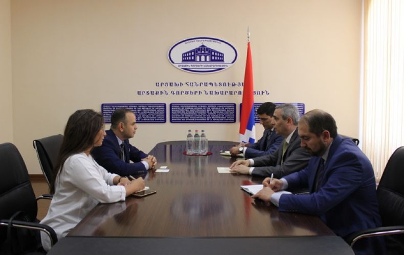 Artsakh Foreign Minister Received the High Commissioner for Diaspora Affairs of Armenia