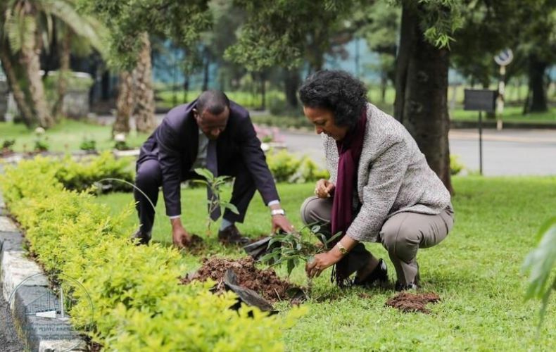 Եթովպիայում մինչև տարեվերջ 4 մլրդ ծառ է տնկվելու
