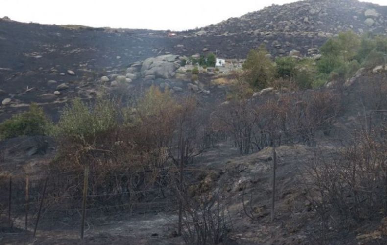 Лесной пожар охватил турецкий остров Мармара

