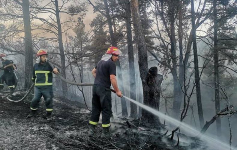Борьба с пожаром в лесу на востоке Грузии продолжается второй день