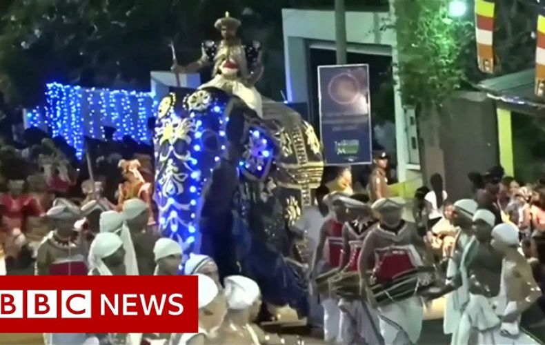 Elephant injures 18 in Sri Lanka Buddhist pageant