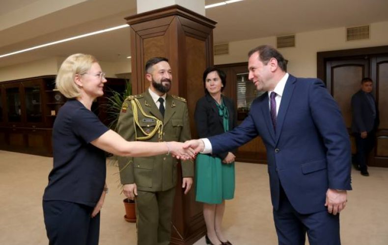 Армения и Литва высоко оценивают двустороннее и многостороннее сотрудничество в сфере обороны