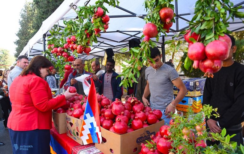 Gross yield of pomegranate amounted to 4890 tons. Deputy Minister
