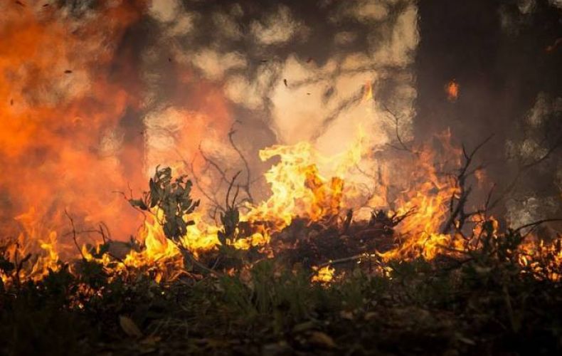 Красный уровень опасности объявили в Чили из-за природных пожаров