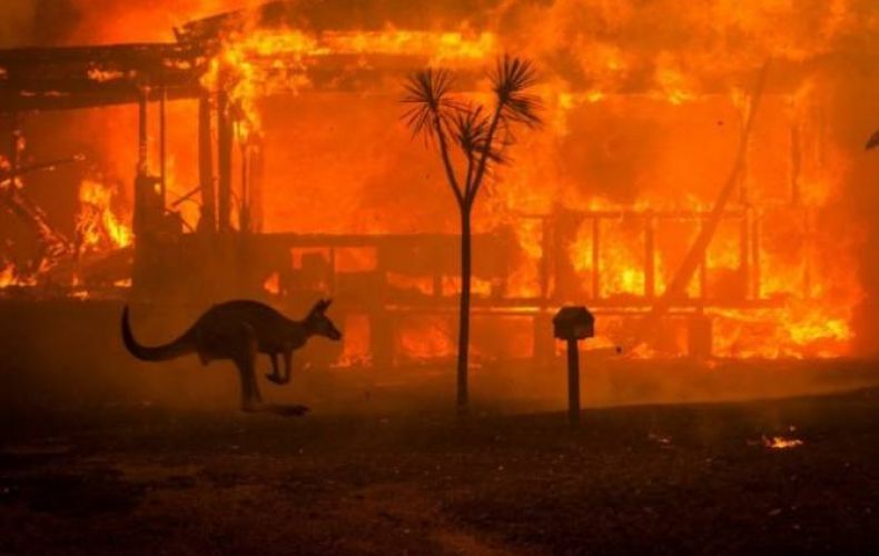 Australia to Spend $34.5Mln on Recovery of Bushfire-Affected Wildlife - Treasurer