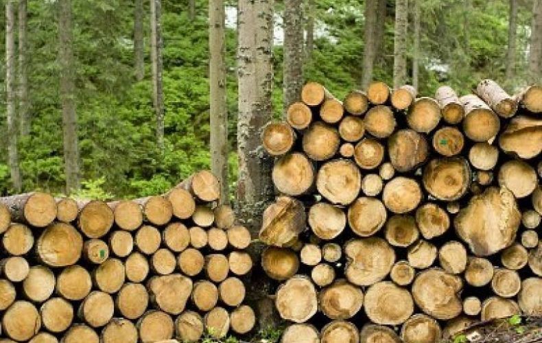 Հանրապետության  տարածքում անօրեն անտառահատումները կանխելու և վերահսկողություն սահմանելու համար անց են  կացվում ստուգումներ