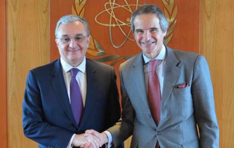 Armenia FM in Austria, meets with IAEA chief