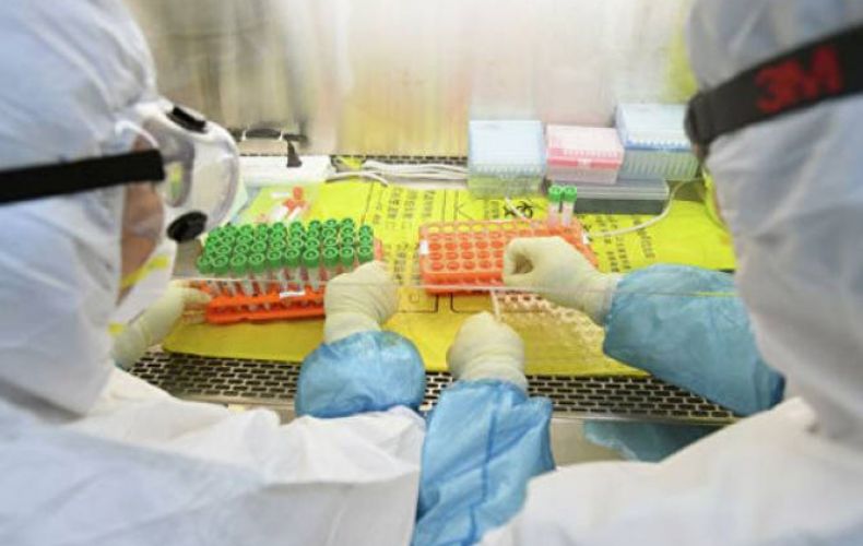 Սինգապուրում առաջին անգամ սկսել են օգտագործել նոր վիրուսի հայտնաբերման շիճուկաբանական մեթոդը

