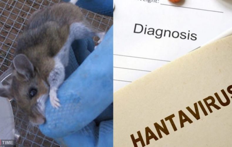 Hantavirus: New deadly virus spreading in China