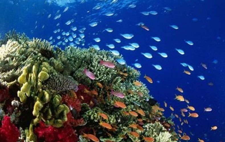 Հունիսի 8-ը Օվկիանոսների համաշխարհային օրն է
