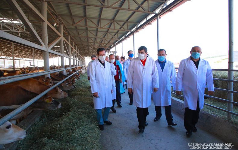 The provision of pedigree animals should be made more affordable. President Harutyunyan visited pedigree farms