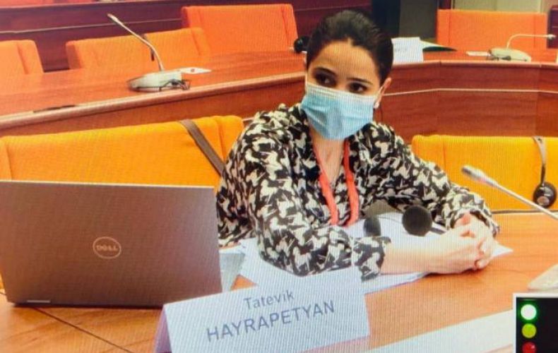 Armenia MP at PACE: What should be done when CoE member state Azerbaijan violates international law?