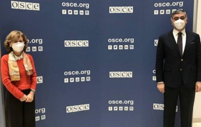 OSCE Representative on Freedom of Media meets with Ambassador of Armenia