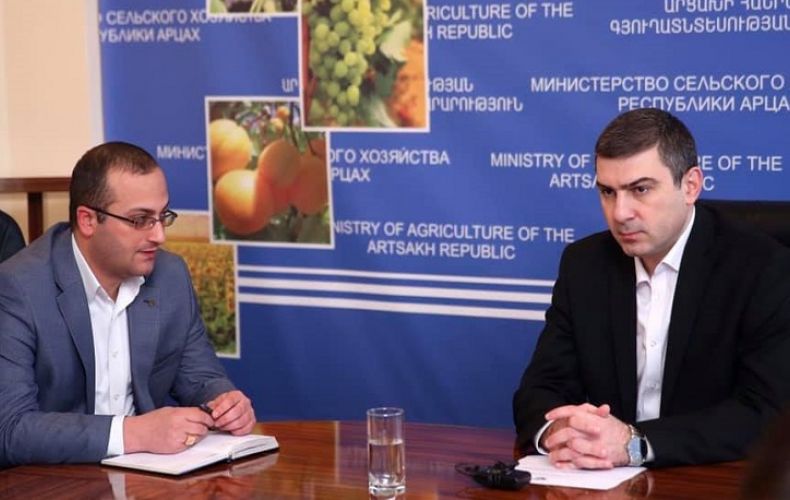 Գրիգորի Մարտիրոսյանն աշխատակազմին է ներկայացրել ԱՀ էկոնոմիկայի և գյուղատնտեսության նախարարին
